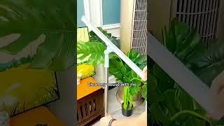 Pure satisfaction ️ You'll understand once you try it  #clean #broom #mop #cleangadgets