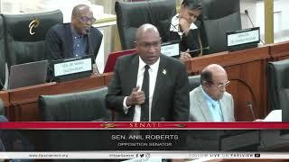 Sen. Anil Roberts | Debate on Gov’t Borrowing – March 19, 2024