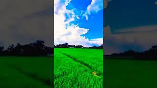 আলহামদুলিল্লাহ। আল্লাহর সৃষ্টি কতো সুন্দর।
