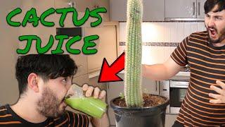 Drinking Cactus Juice