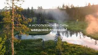 ВЫСОКОЕ КАЧЕСТВО ПРОДУКТОВ WELLNESS