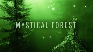 Enchanting Forest Music   for Relaxation and Meditation  Path to The Elven Lands