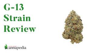 G-13 • კანაფის ჯიშის განხილვა • Strain Review • Cannapedia