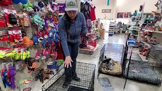 Choosing A Dog Crate