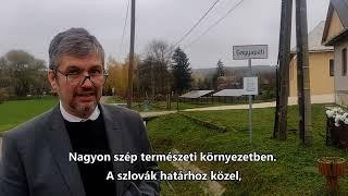 Kamu szövetkezet & kamu projekt