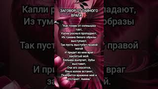 ️baba_ninay Телеграмм | Заговор | Магия Жизни |#shorts#tiktok #приметы#magic#помощь#советы#заговоры