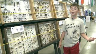 Kansas State Fair:  Max Harman's Award-Winning Insect Collection!