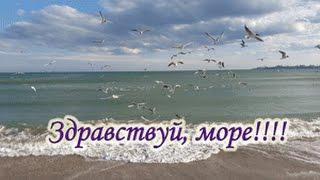 "ЗДРАВСТВУЙ, МОРЕ!!!" стихи Анастасия Одесса