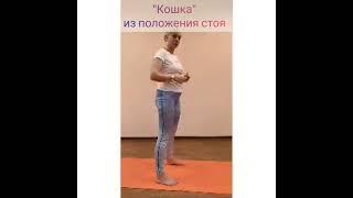 Йога при болях в спине. Простое упражнение для здоровья позвоночника.