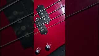Meet Tai #music #bass