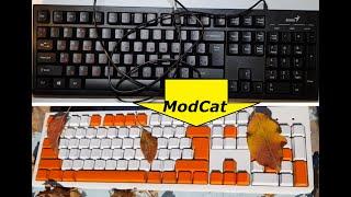 Моддинг клавиатуры в стиле Asiimov | Как покрасить клавиатуру | ModCat