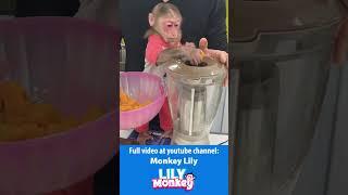 Dad serves Lily a healthy breakfast pumpkin milk and steamed vegetables #shorts #short #monkey