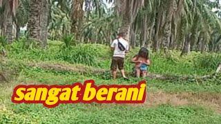 SEORANG PEMUDA SANGAT BERANI DATANGI MANTE/mante bunian