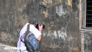 Shooting Texture in India: Episode 152: Exploring Photography with Mark Wallace