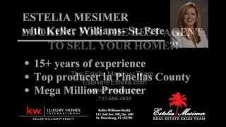 St. Petersburg Florida's Top Real Estate Agent