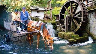 AZERBAIJAN Rural Life - Grandma and Grandpa's Most Liked Videos