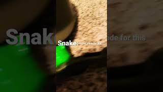 srg snake #shorts #snake #viral