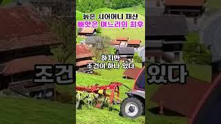 허름한 논리로 시어머니 6억 재산 빼앗은 며느리의 최후#며느리 #참교육 #Shorts