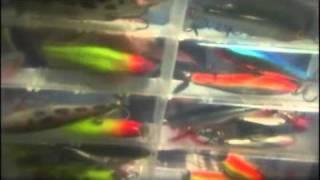 Bass Fine-Tuned Patterns - Lindner's Angling Edge Fishing DVD Preview