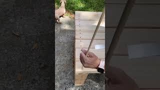 You’re not going to believe this…it actually worked! Watch til the end to see my surprise.  #diy
