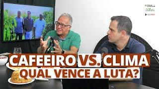 CAFEEIRO VS. CLIMA, qual vence a luta?