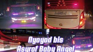 ngoyod bis Asyrof "Baby Angel" #basuri #telolet #davairhorn #asyrof #bismania #omteloletom