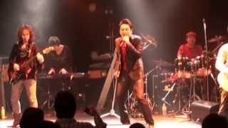 MAILING DOG 2013 - Bad Boy Blues (ハウンドドッグ コピー）