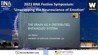 The Brain as a Distributed, Entangled System - Professor Luiz Pessoa