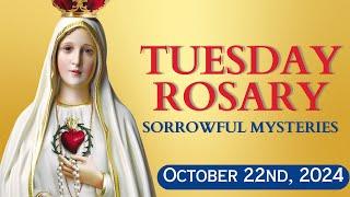 HOLY ROSARY ️ Tuesday, October 22, 2024 ️ Sorrowful Mysteries ️ Today's Rosary