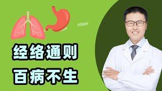 经络通，则百病不生 (中医养生）  | 【老安谈健康】