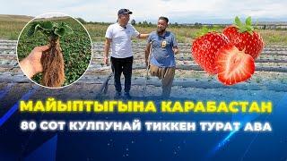 Кыргыз элине чоң мотивация берди