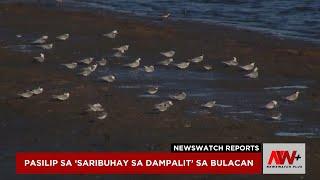 Pasilip sa 'Saribuhay sa Dampalit' sa Bulacan | NewsWatch Reports