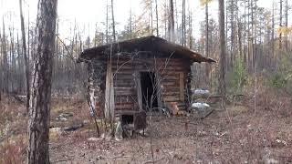 Таёжная жизнь в уединении.