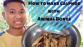 How to make Calphos using Animal Bones