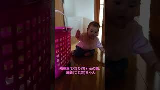 陽葵里(ひまり)ちゃんの妹、紬希(つむぎ)ちゃん洗濯物カゴで遊ぶ。#陽葵里ちゃん#妹#紬希ちゃん#つむぎちゃん#紬希#つむぎ#つむ#ひまりちゃん#ひまりちゃんの妹#洗濯物カゴ#つむ#つむちゃん