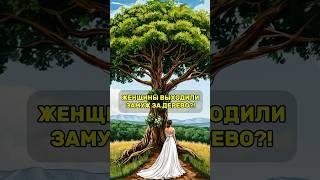 Свадьба с деревом 