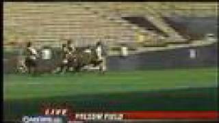 Ralphie V on KUSA