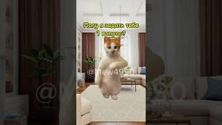 Мемные котики 1 #котики #мем #shorts #kikkadim