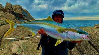 HUGE KINGFISH | Fishing With Friends