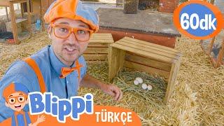 Blippi Bir Çiftliği Ziyaret Ediyor  | Blippi Türkçe - Çocuklar için Eğitici Videolar