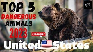 "Top 5 Dangerous Animals in USA 2023: Stay Alert!" | The Fame Files