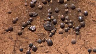 Concretionary Nodules could potentially be shaped on Mars within ancient watery area