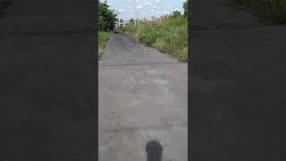 В грроде АККОЛЬ ДОРОГИ УЛИЦ ГОДАМИ СТОЯЛИ ОТСЫПАННЫЕ ЗОЛОШЛАКОМ ПРОКУРАТУРА  НЕ РЕАГИРОВАЛА