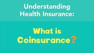 What is Coinsurance?