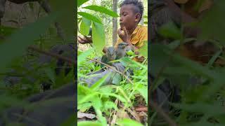 Survival Skills 17: Journey In The Woods To See Beautiful Birds #thesigit #joyoung #btssb #wildlife