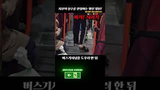 시내버스에 대해 당신이 몰랐던 사실