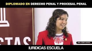 1-  DIPLOMADO: Derecho Penal Y Procesal Penal DRA. ROMY CHANG