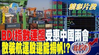 BDI指數連飆受惠中國兩會 散裝航運股還能揚帆！？ | 金臨天下 20230306  @tvbsmoney