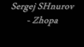 Sergej SHnurov - Zhopa