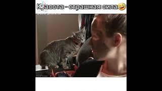 красота - страшная сила / приколы с тик тока